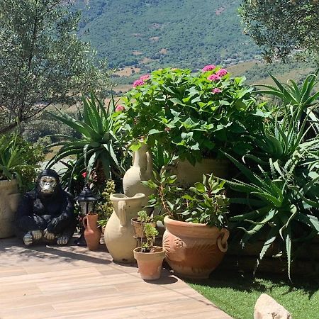Residence Paradisu Ajaccio アピエット エクステリア 写真