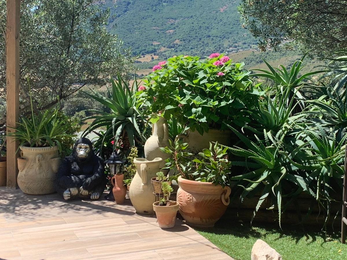 Residence Paradisu Ajaccio アピエット エクステリア 写真