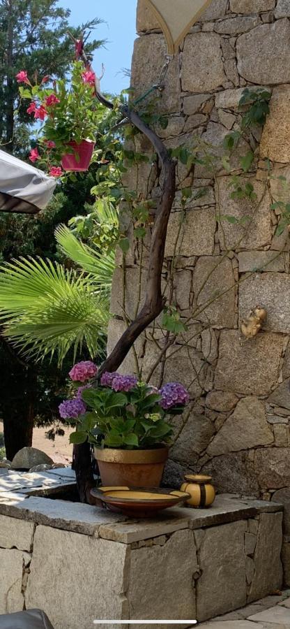 Residence Paradisu Ajaccio アピエット エクステリア 写真
