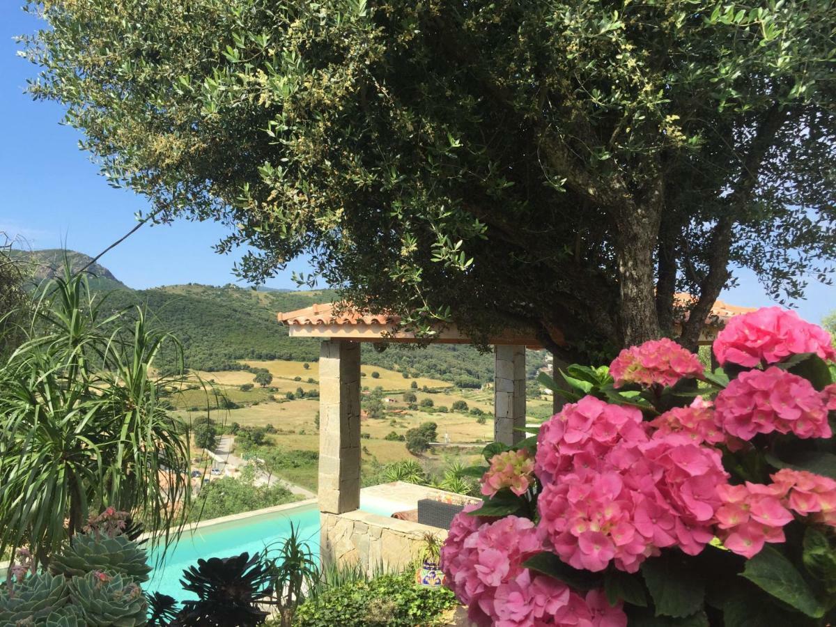 Residence Paradisu Ajaccio アピエット エクステリア 写真