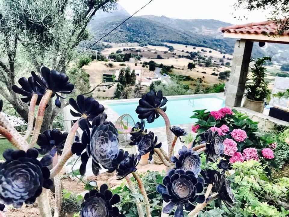 Residence Paradisu Ajaccio アピエット エクステリア 写真